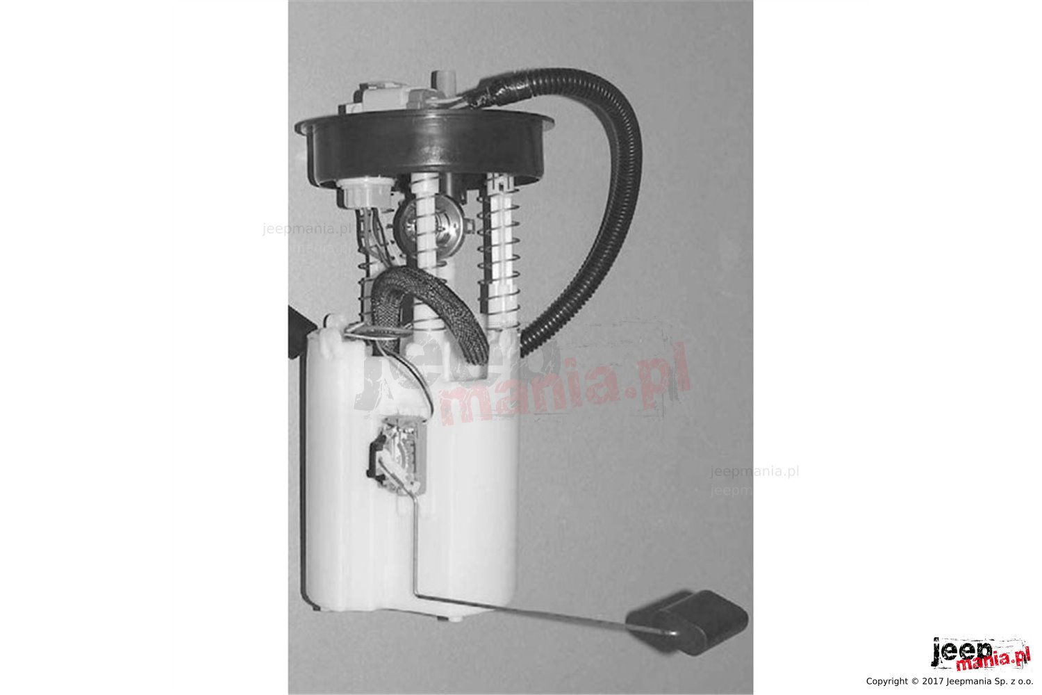 Fuel Pump Module : 1995 Jeep Grand Cherokee ZJ